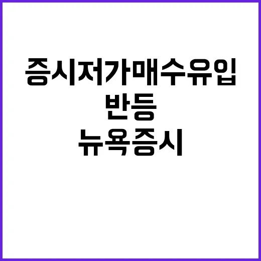 뉴욕증시 저가매수 …