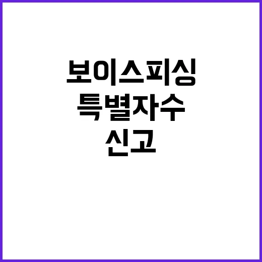 보이스피싱 특별자수…