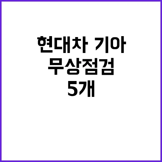 무상점검 현대차·기아 등 5개 제작사 참여!