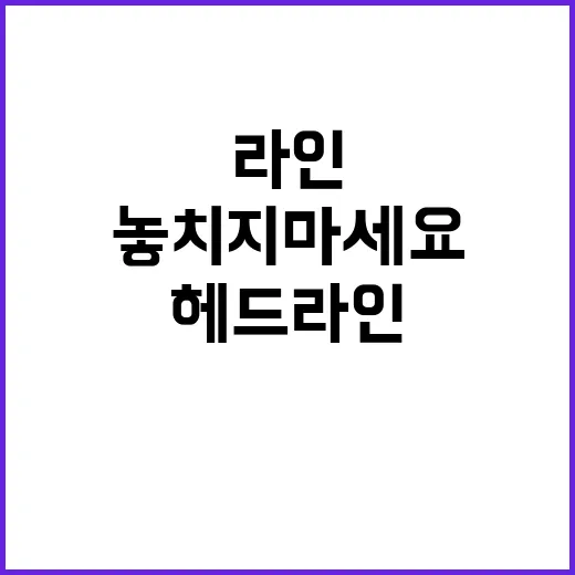 헤드라인 오늘의 중요한 소식 놓치지 마세요!