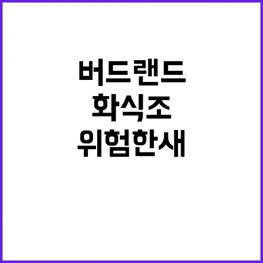 위험한 새 화식조 …