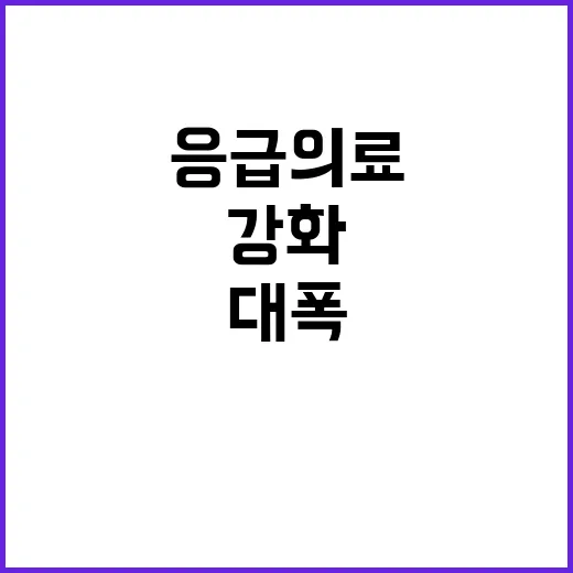 응급의료센터 중증 …