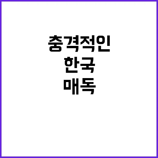 매독 폭증 한국의 …