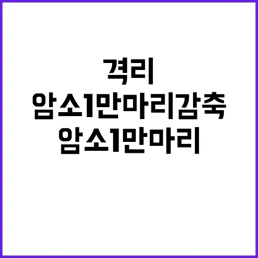 밥쌀 격리 암소 1만 마리 감축 추진!