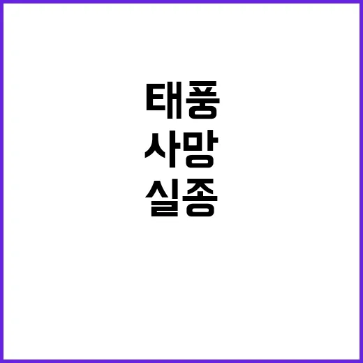 베트남 태풍 다리 붕괴로 86명 사망 실종!