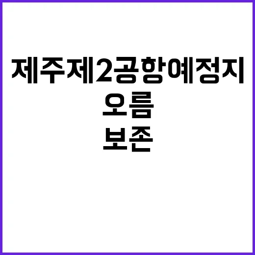 제주 제2공항 예정지 모든 오름 보존 결정!