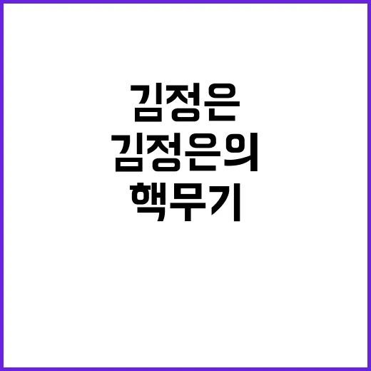 핵무기 확대 김정은…