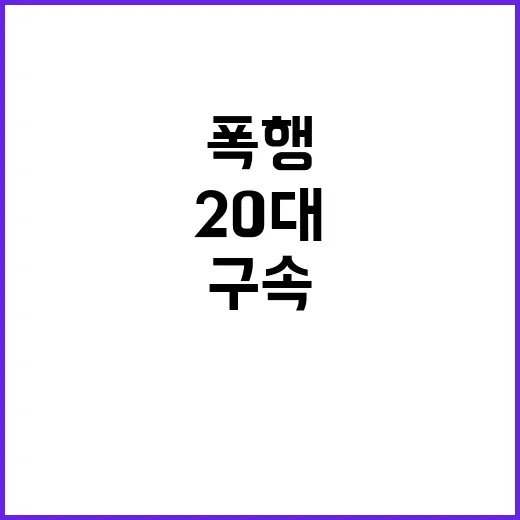 폭행 사건 20대 …