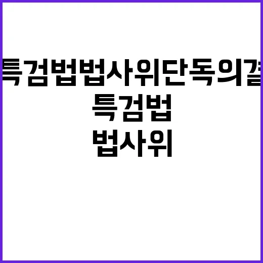 김여사 특검법 법사…