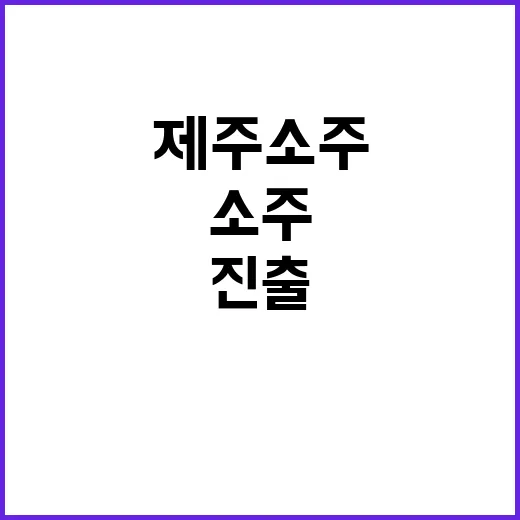 소주산업 진출 카스와 제주소주의 새로운 연합!