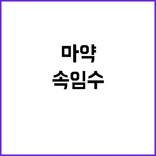 마약 밀수 임신부 …