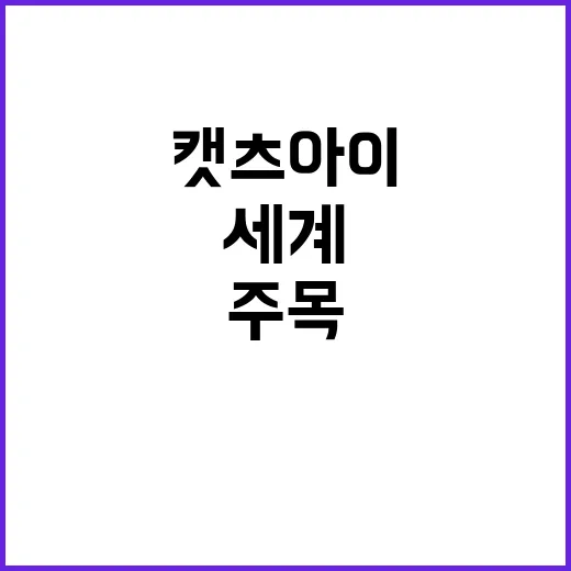 캣츠아이 한국 도착…