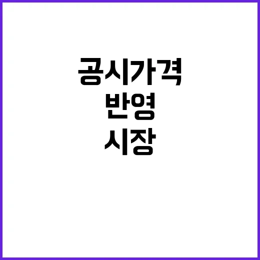 공시가격 변화 시장 반영의 새로운 방향 등장!