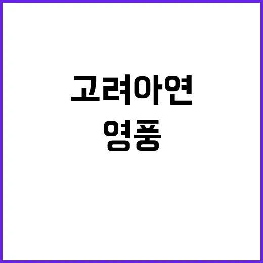 영풍·MBK 고려아…