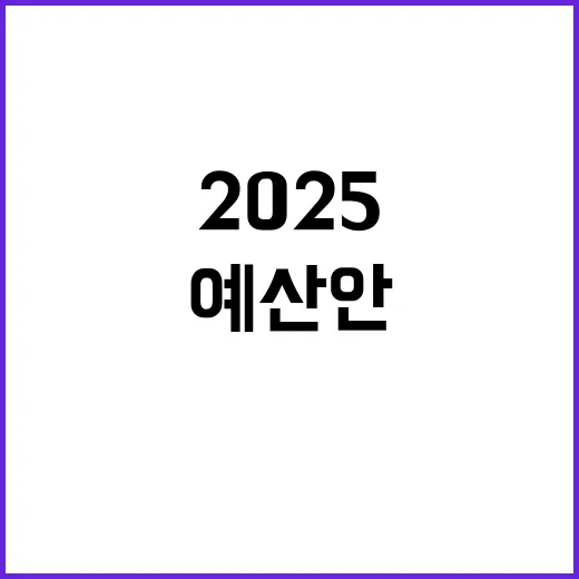 2025 예산안 분…