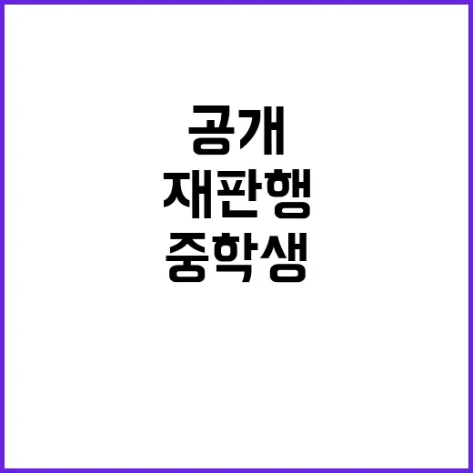 돌덩이 사건 중학생 정식 재판행 소식 공개!