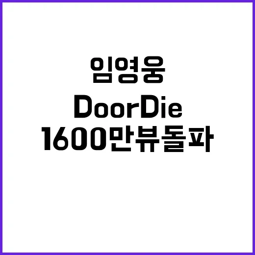 Do or Die 1600만뷰 돌파한 임영웅의 비밀!