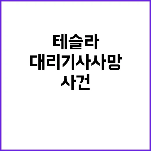 테슬라 충돌 대리기…