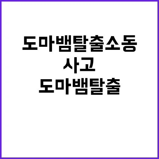 추돌 사고 도마뱀 탈출 소동 발생 놀라운 상황!