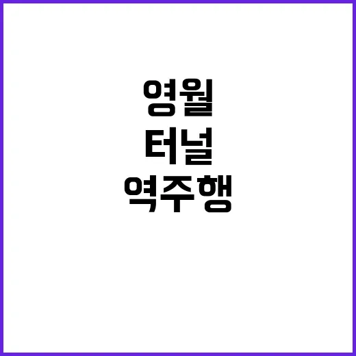 영월2터널 역주행으…