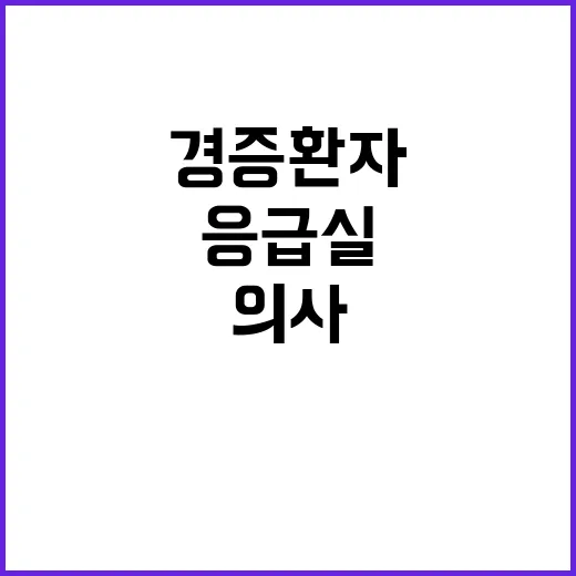 응급실 의사 경증 …