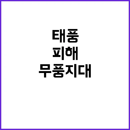 태풍 피해 한국의 …