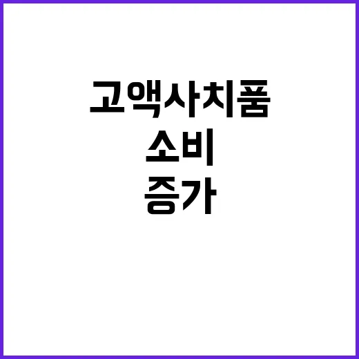 명품백 소비 증가……