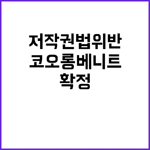 저작권법 위반 코오…