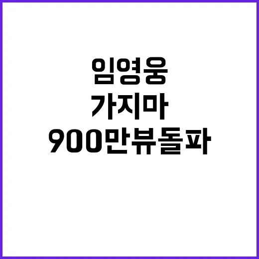 임영웅 가지마 무대영상 900만뷰 돌파 이유!