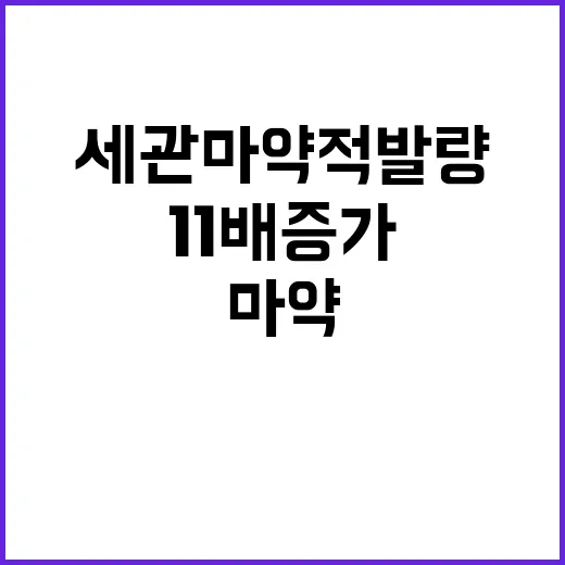 세관 마약 적발량 11배 증가 대책은?