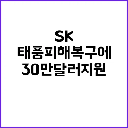 SK그룹 태풍 피해…