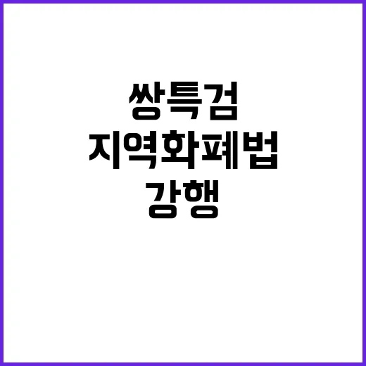 정국 쌍특검과 지역…