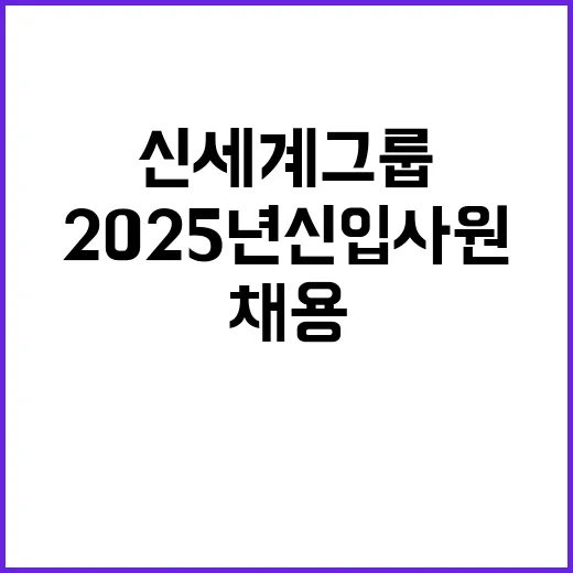 신세계그룹 2025년 신입사원 대규모 채용 발표!