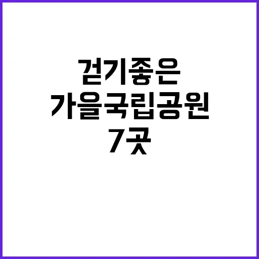 가을 국립공원 걷기 좋은 7곳 완벽 가이드!