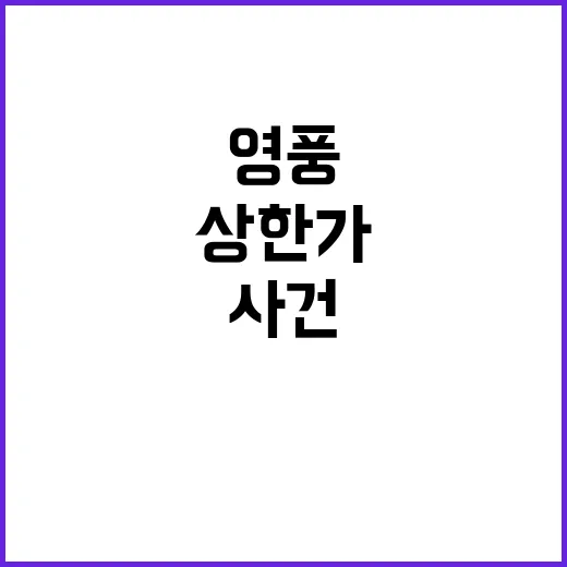 영풍정밀 상한가 이유와 고소 사건의 충격!