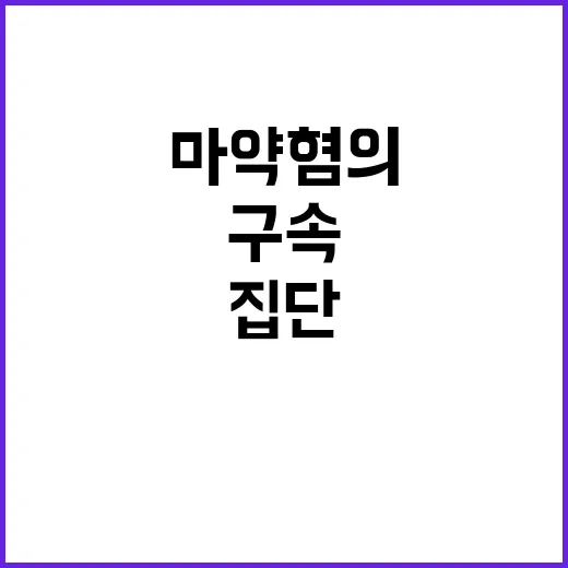 조폭 유튜버 집단 마약 혐의로 구속 송치!