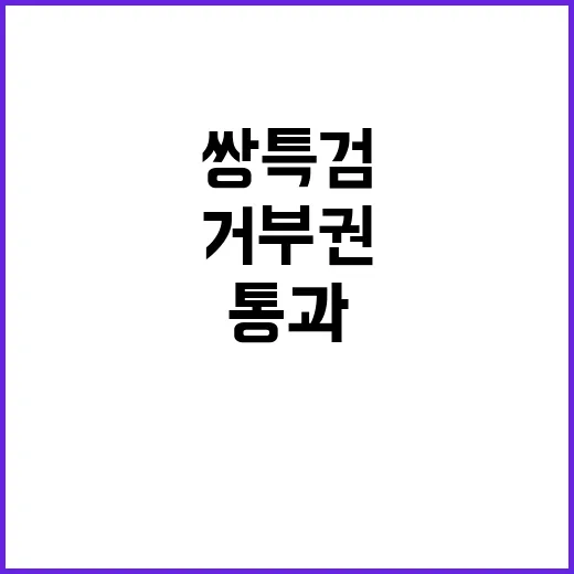 쌍특검 통과 거부권에 대한 국민 반응은?