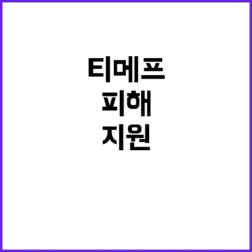 티메프 내년 4억5…