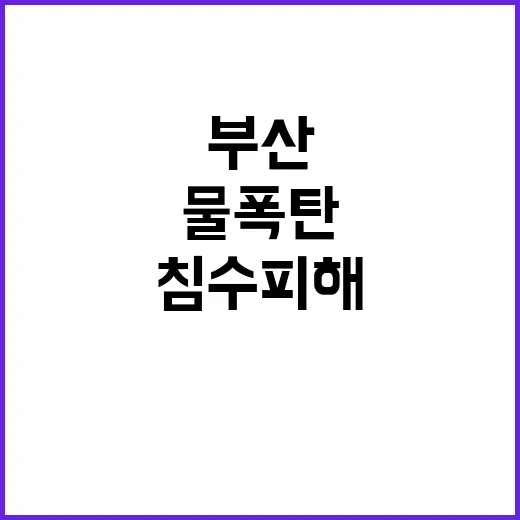 물폭탄 부산 도로와…