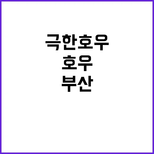 극한 호우 부산 경…