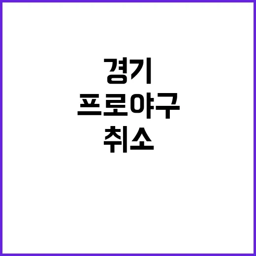 비의 영향…프로야구…