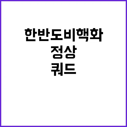 북 핵개발 규탄 쿼…