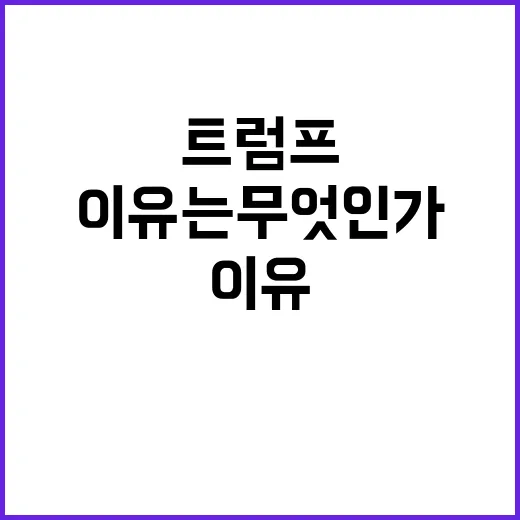 증오 트럼프에게 다가오는 그 이유는 무엇인가?