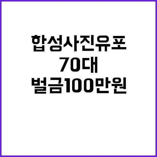 합성 사진 유포 70대에게 벌금 100만원 부과