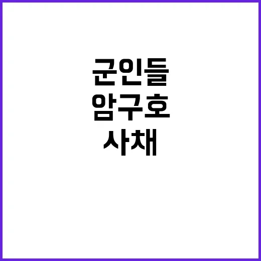 암구호 군인들 사채…