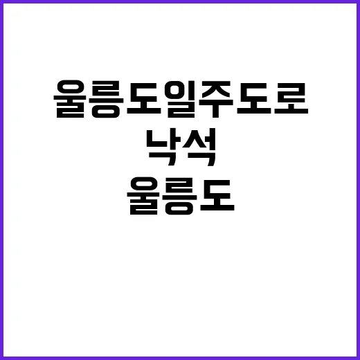 낙석 경고! 울릉도 일주도로의 위험한 순간들