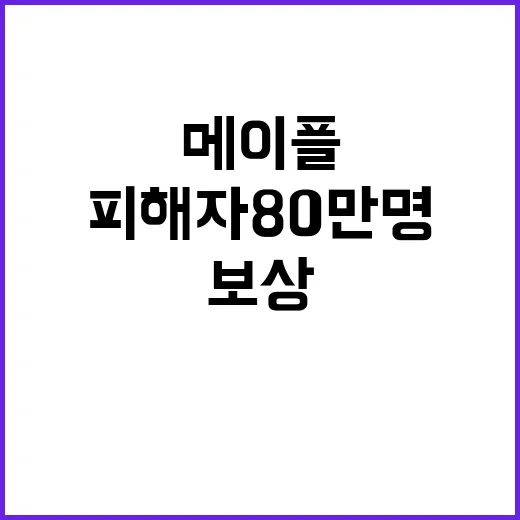 메이플스토리 확률조작 피해자 80만명 219억 보상!