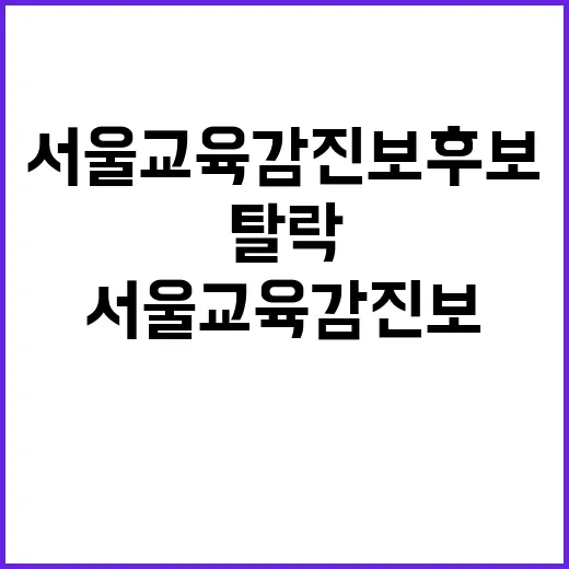 서울교육감 진보 후…