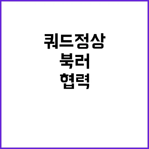 쿼드 정상들 북러 …