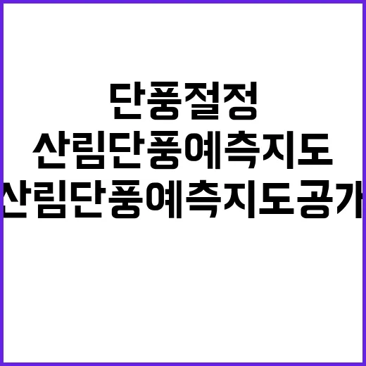 단풍 절정 10월 말! 산림단풍 예측지도 공개.